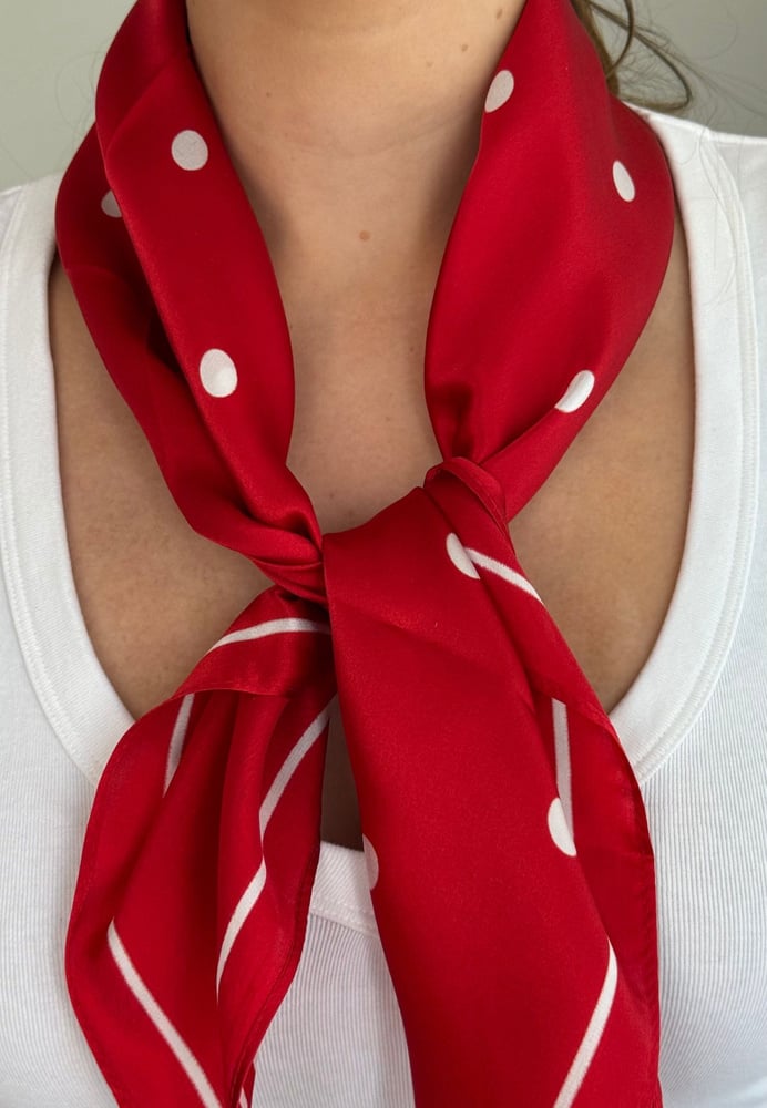 Paloma silk scarf